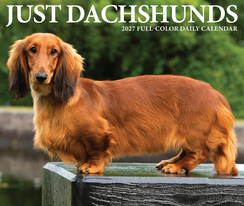 Dachshunds 2027 Page-A-Day Calendar