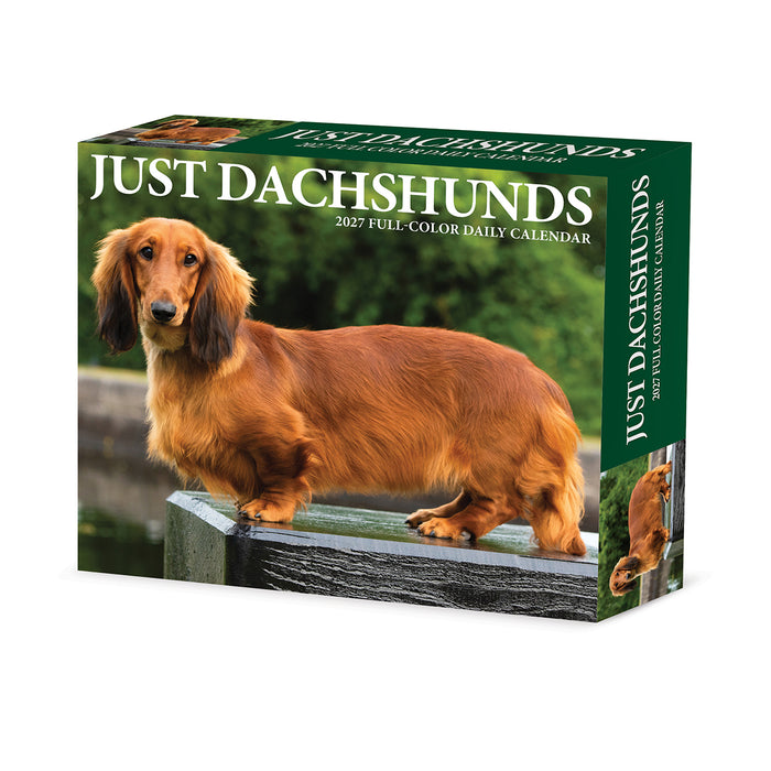 Dachshunds 2027 Page-A-Day Calendar