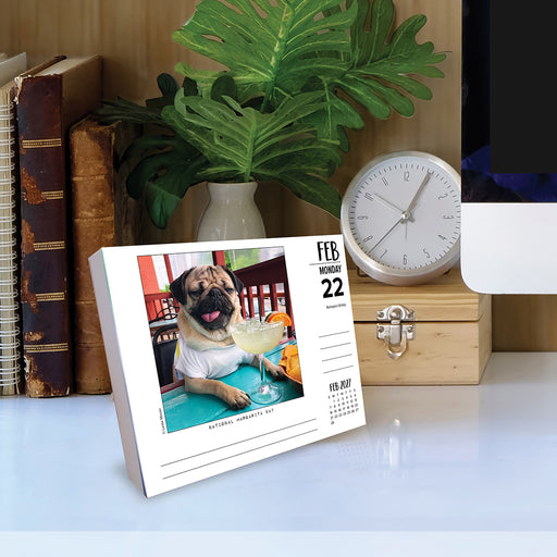 Doug the Pug 2027 Page-A-Day Calendar