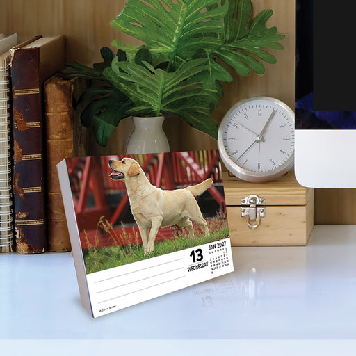 Labs Just 2027 Page-A-Day Calendar