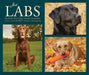 Labs Just 2027 Page-A-Day Calendar