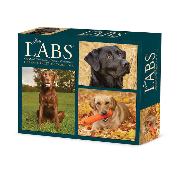 Labs Just 2027 Page-A-Day Calendar