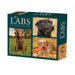 Labs Just 2027 Page-A-Day Calendar