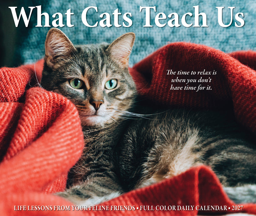What Cats Teach Us 2027 Page-A-Day Calendar
