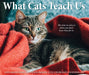 What Cats Teach Us 2027 Page-A-Day Calendar