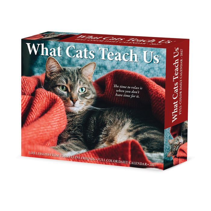 What Cats Teach Us 2027 Page-A-Day Calendar