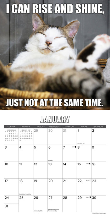 Cat Astrophe 2027 Mini Wall Calendar