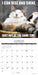 Cat Astrophe 2027 Mini Wall Calendar
