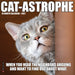 Cat Astrophe 2027 Mini Wall Calendar