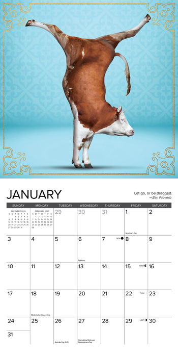 Cow Yoga 2027 Mini Wall Calendar