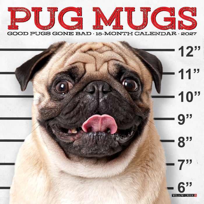 Pug Mugs 2027 Mini Wall Calendar
