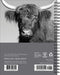 Highland Cows 2027 Weekly Diary