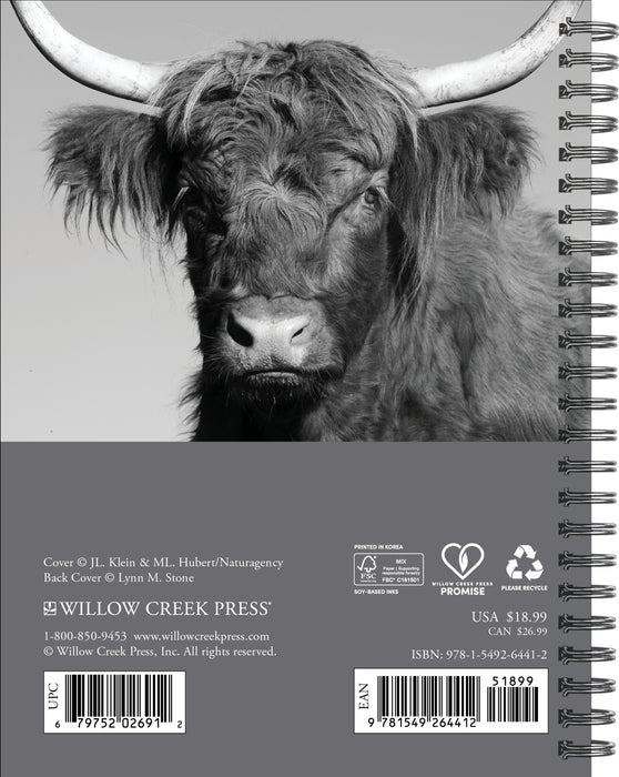 Highland Cows 2027 Weekly Diary