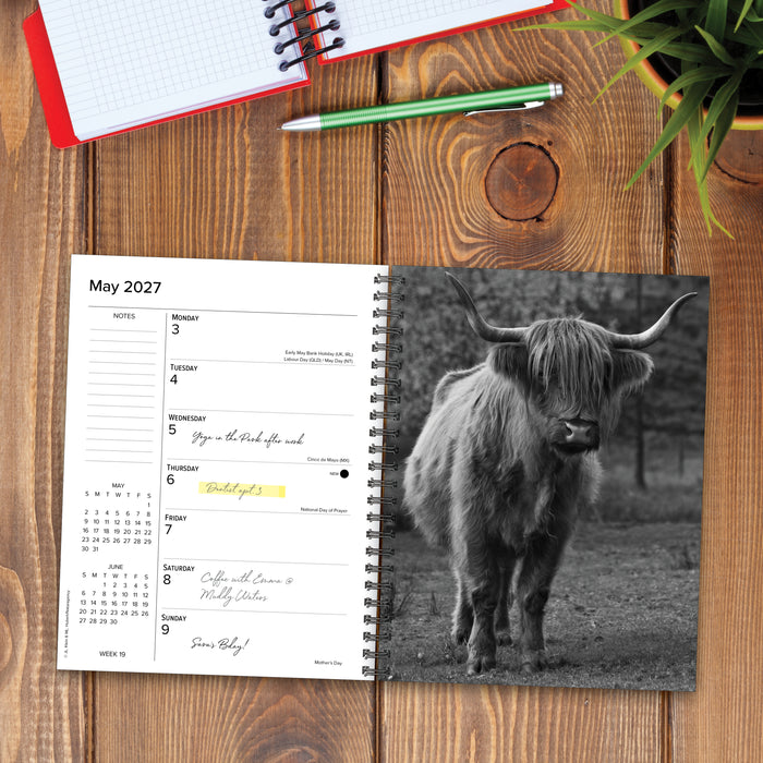Highland Cows 2027 Weekly Diary