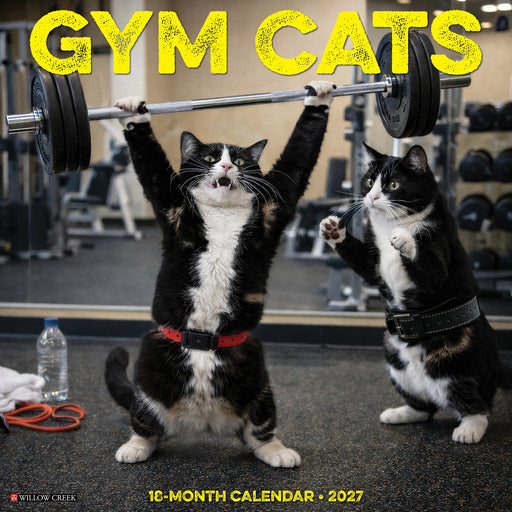 Gym Cats 2027 Square Wall Calendar