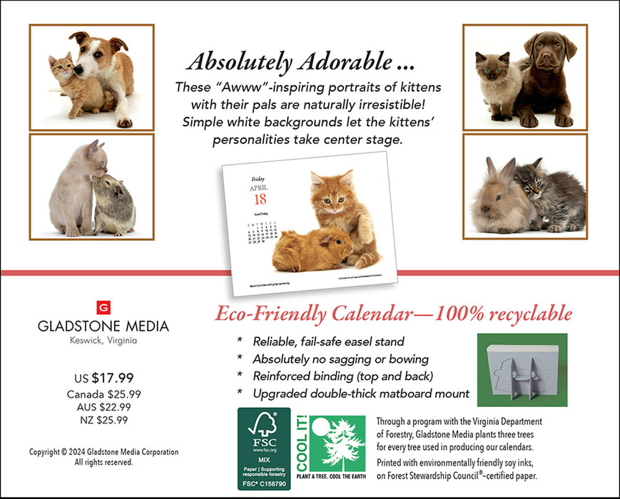 2025 Kittens & Friends Page-A-Day Calendar