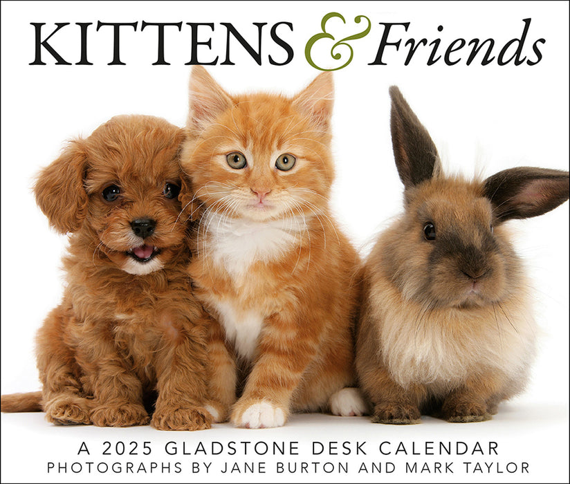 2025 Kittens & Friends Page-A-Day Calendar