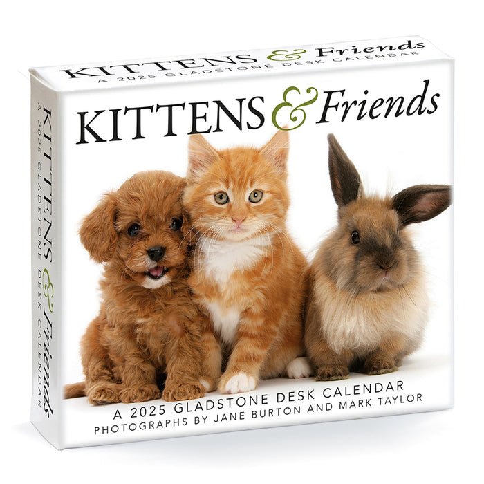 2025 Kittens & Friends Page-A-Day Calendar