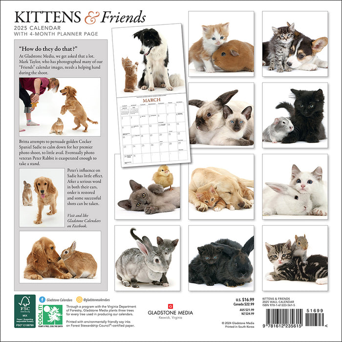 2025 Kittens & Friends Wall Calendar