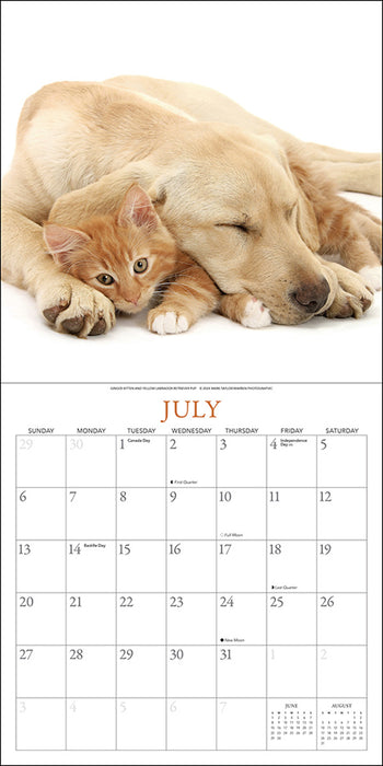 2025 Kittens & Friends Wall Calendar