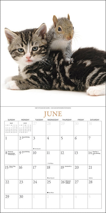 2025 Kittens & Friends Wall Calendar