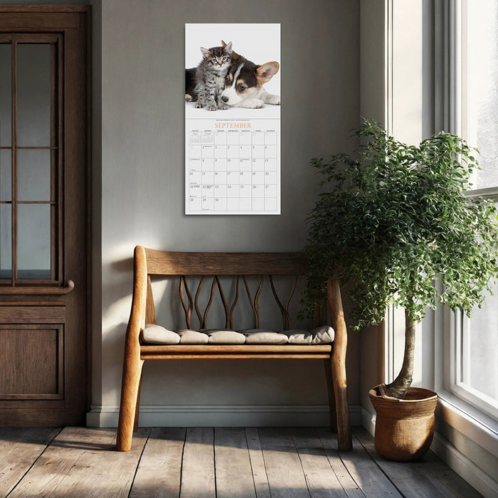 2025 Kittens & Friends Wall Calendar