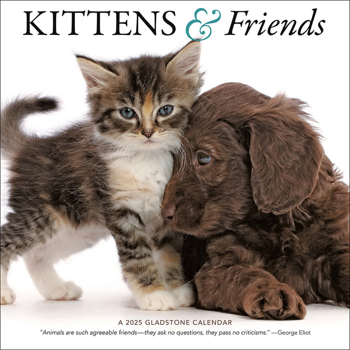 2025 Kittens & Friends Wall Calendar