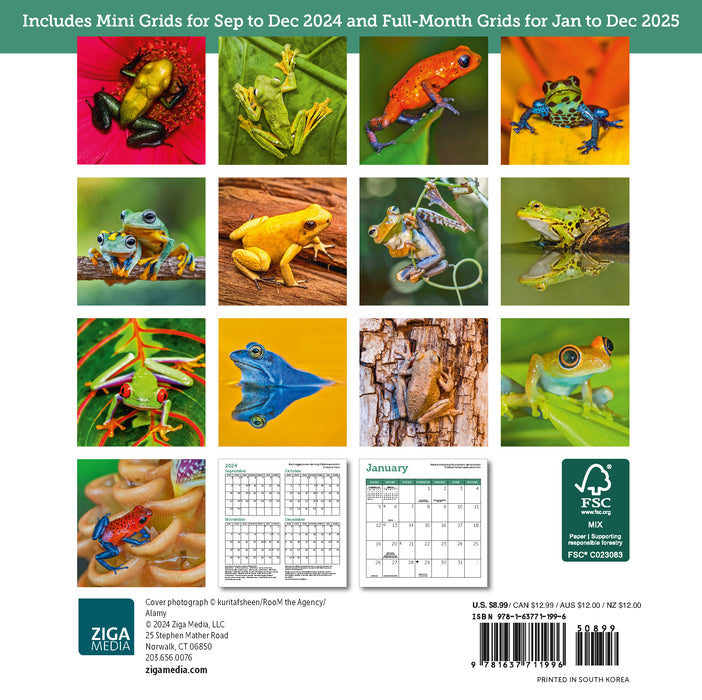 2025 Frogs Mini Wall Calendar