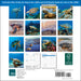 Sea Turtles 2026 Mini Wall Calendar
