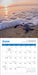 Sea Turtles 2026 Mini Wall Calendar