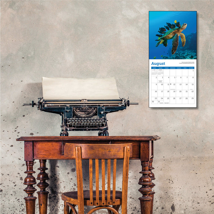 Sea Turtles 2026 Mini Wall Calendar