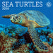 Sea Turtles 2026 Mini Wall Calendar