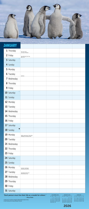 Busy Family 2026 Large Wall Calendar