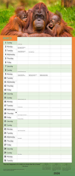 Busy Family 2026 Large Wall Calendar