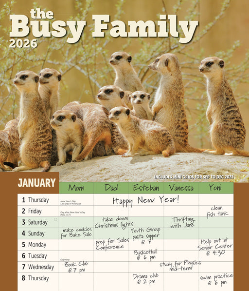 Busy Family 2026 Large Wall Calendar