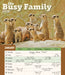 Busy Family 2026 Large Wall Calendar