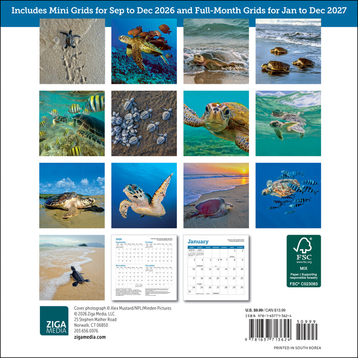 Sea Turtles 2027 Mini Wall Calendar