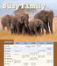 Busy Family 2027 Large Wall Calendar