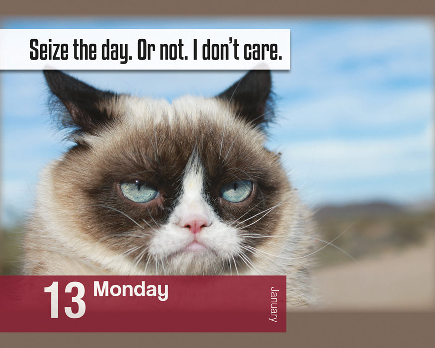 2025 Grumpy Cat Page-A-Day Calendar