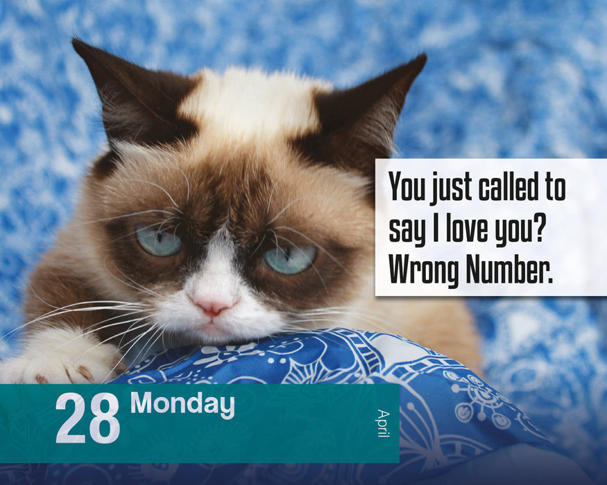 2025 Grumpy Cat Page-A-Day Calendar