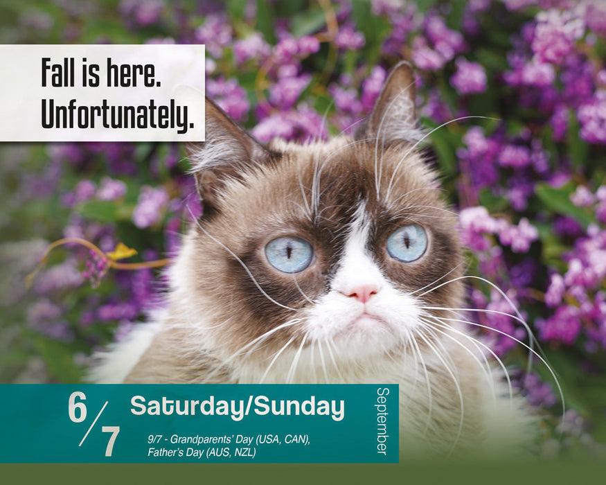 2025 Grumpy Cat Page-A-Day Calendar