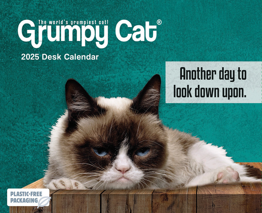 2025 Grumpy Cat Page-A-Day Calendar