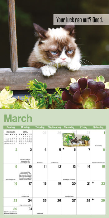 2025 Grumpy Cat Mini Wall Calendar