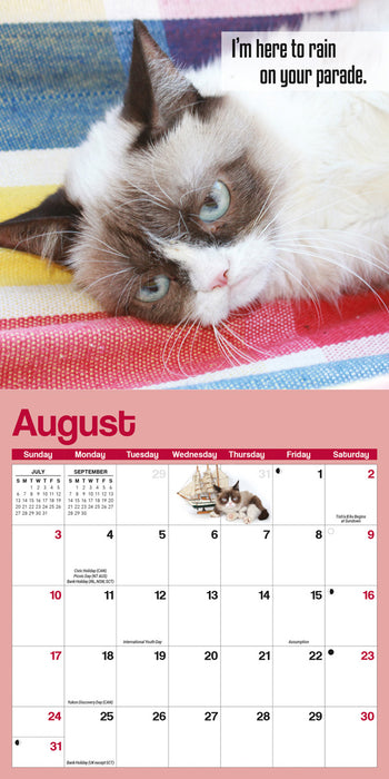 2025 Grumpy Cat Mini Wall Calendar