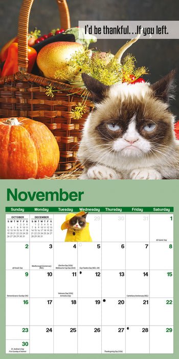 2025 Grumpy Cat Mini Wall Calendar