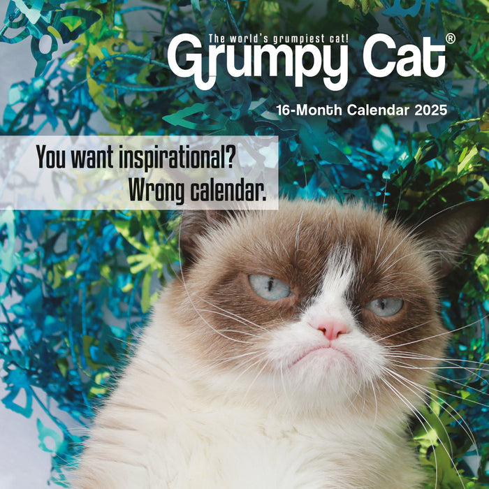 2025 Grumpy Cat Mini Wall Calendar