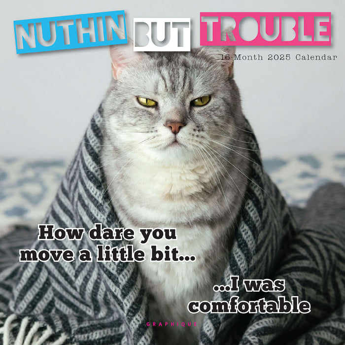 2025 Nuthin' But Trouble Mini Wall Calendar