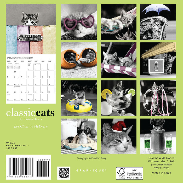 2025 Classic Cats Mini Wall Calendar