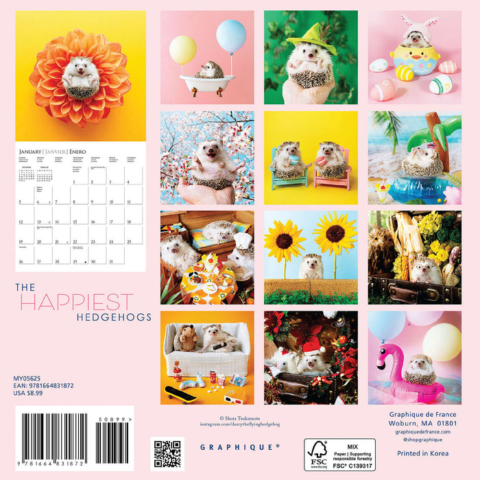 2025 Happiest Hedgehogs Mini Wall Calendar