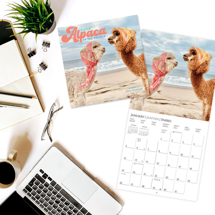 2025 Little Alpaca on the Prairie Wall Calendar